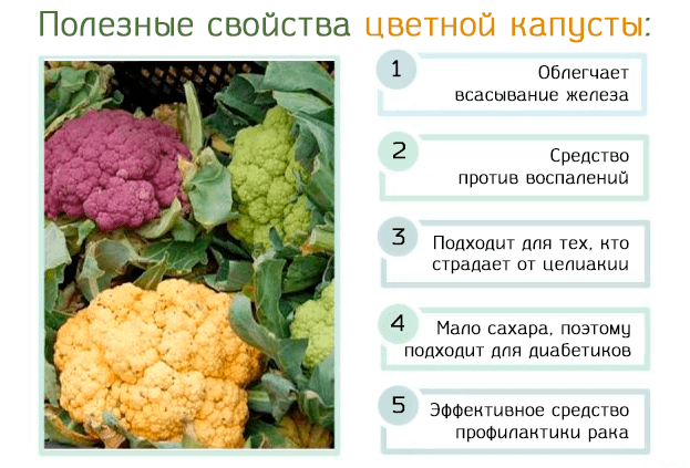 d0b2 d187d0b5d0bc d0bfd0bed0bbd18cd0b7d0b0 d0bed182 d0bfd180d0b8d0bcd0b5d0bdd0b5d0bdd0b8d18f d186d0b2d0b5d182d0bdd0bed0b9 d0bad0b0d0bf