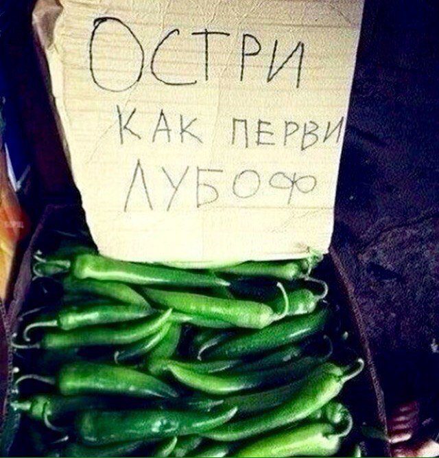 d0b4d0b8d0b5d182d0b0 d0bdd0b0 d0bed181d182d180d0bed0bc d0bfd0b5d180d186d0b5