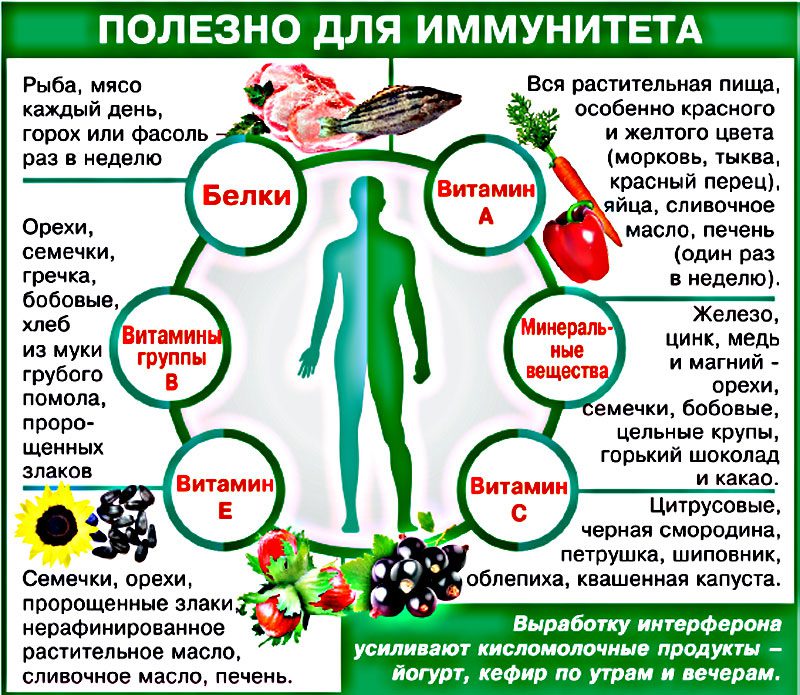 Иммунитет. Как повысить иммунитет d0b8d0bcd0bcd183d0bdd0b8d182d0b5d182-d0bad0b0d0ba-d0bfd0bed0b2d18bd181d0b8d182d18c-d0b8d0bcd0bcd183d0bdd0b8d182d0b5d182