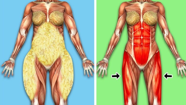 d0bad0b0d0ba d0b1d18bd181d182d180d0be d183d0b1d180d0b0d182d18c d0b6d0b8d180 d181 d0bbd18fd188d0b5d0ba d0b4d0b8d0b5d182d0b0