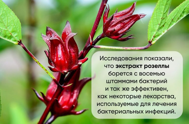 d0bad0b0d0ba d0bfd0bed185d183d0b4d0b5d182d18c d181 d0bfd0bed0bcd0bed189d18cd18e d0bad0b0d180d0bad0b0d0b4d0b5