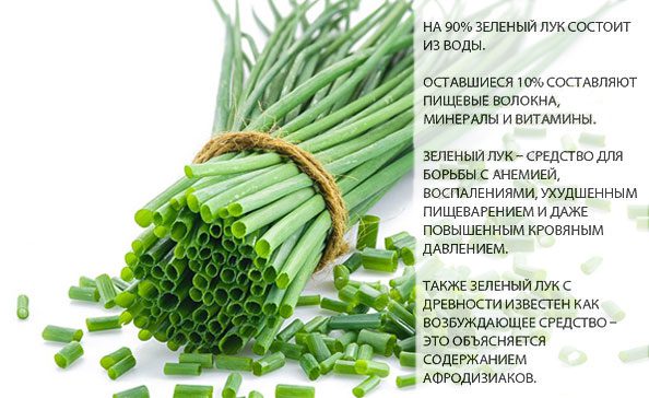 d0bfd0bed0bbd18cd0b7d0b0 d0b8 d0bad0b0d0bbd0bed180d0b8d0b9d0bdd0bed181d182d18c d0b7d0b5d0bbd0b5d0bdd0bed0b3d0be d0bbd183d0bad0b0