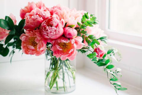 nutmuxhvbkraquf7k