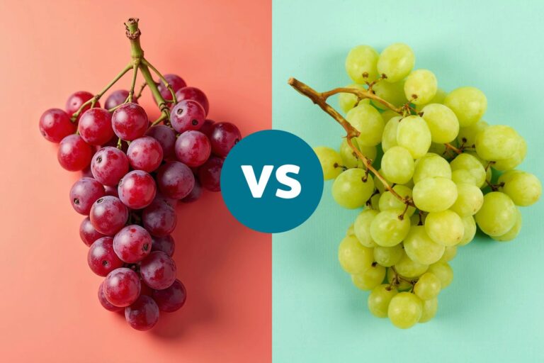 vwh red vs green grapes ccdd95b1d2f241de92832db81e70d00b.jpeg