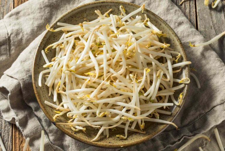 1766859772 bean sprouts 11857713 6e366b4a0260415690901af84d2aa7ae.jpg