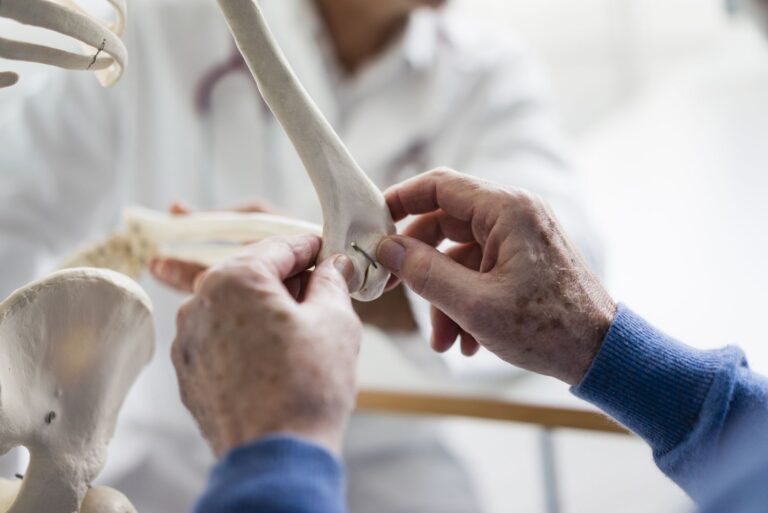 bone gettyimages 1134458118 ed67081566174d67a018e16ae08dd40c.jpg