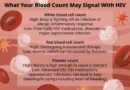 vwh juliebang bloodcountwithhiv standard 1edf4dcdb7564f3a93b8b9cec0f695ba.jpg