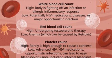 vwh juliebang bloodcountwithhiv standard 1edf4dcdb7564f3a93b8b9cec0f695ba.jpg
