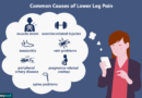 causes of lower leg pain 1337679 02 5b854e33c9e77c00576cb221.png