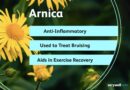 vwh nutrition arnica 1 e94f294a4db440aeb2e26bc720a58c86.jpg
