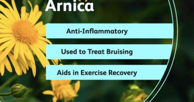 vwh nutrition arnica 1 e94f294a4db440aeb2e26bc720a58c86.jpg
